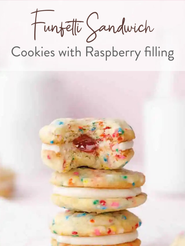 Funfetti Sandwich Cookies with Raspberry filling