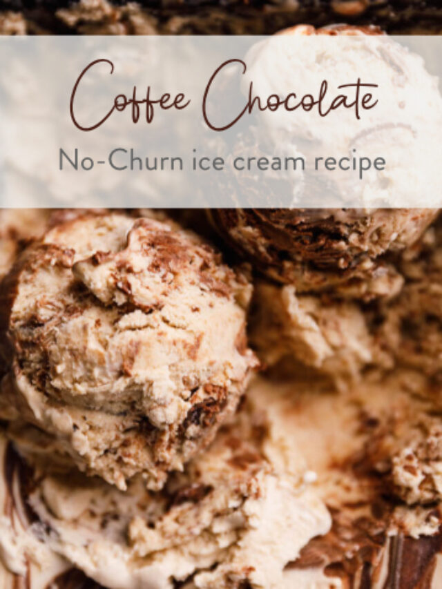 chocolate coffee ice cream recipe01
