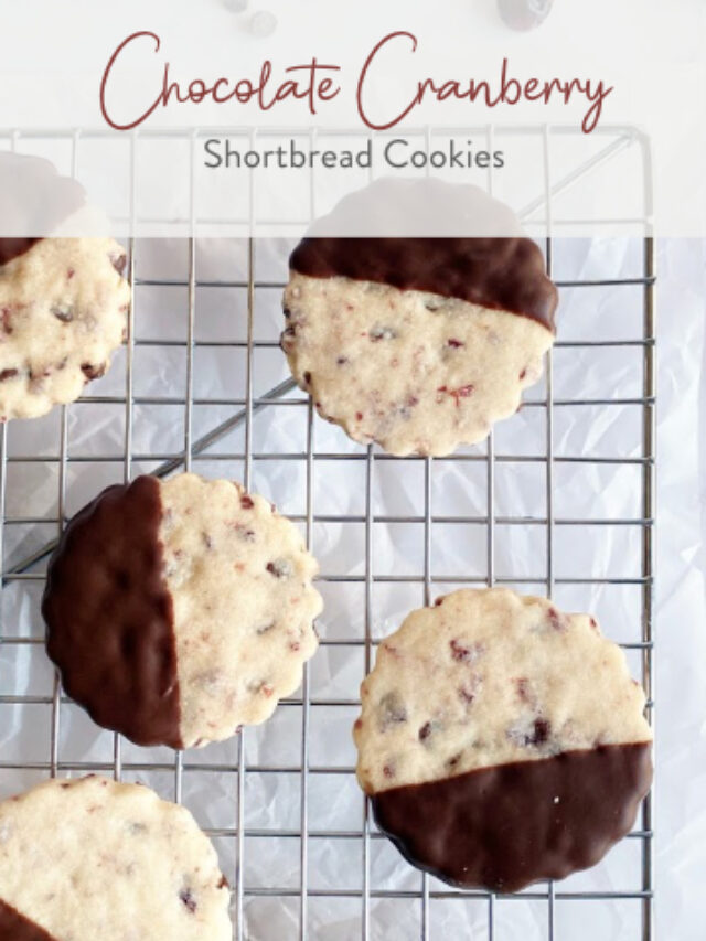 Chocolate Cranberry Shortbread Cookies01