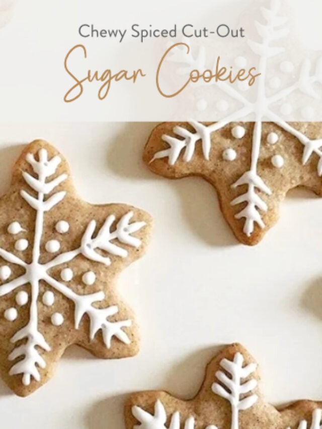 Spiced Sugar Cookies01