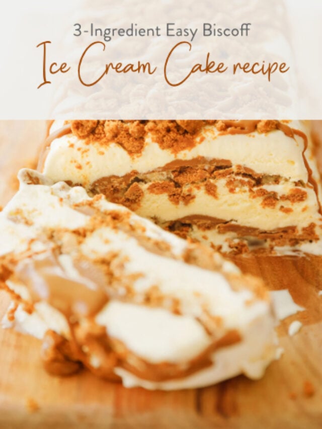 3-Ingredient Easy Biscoff Ice Cream Cake recipe